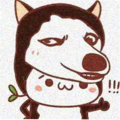 影迷一只分镜师头像